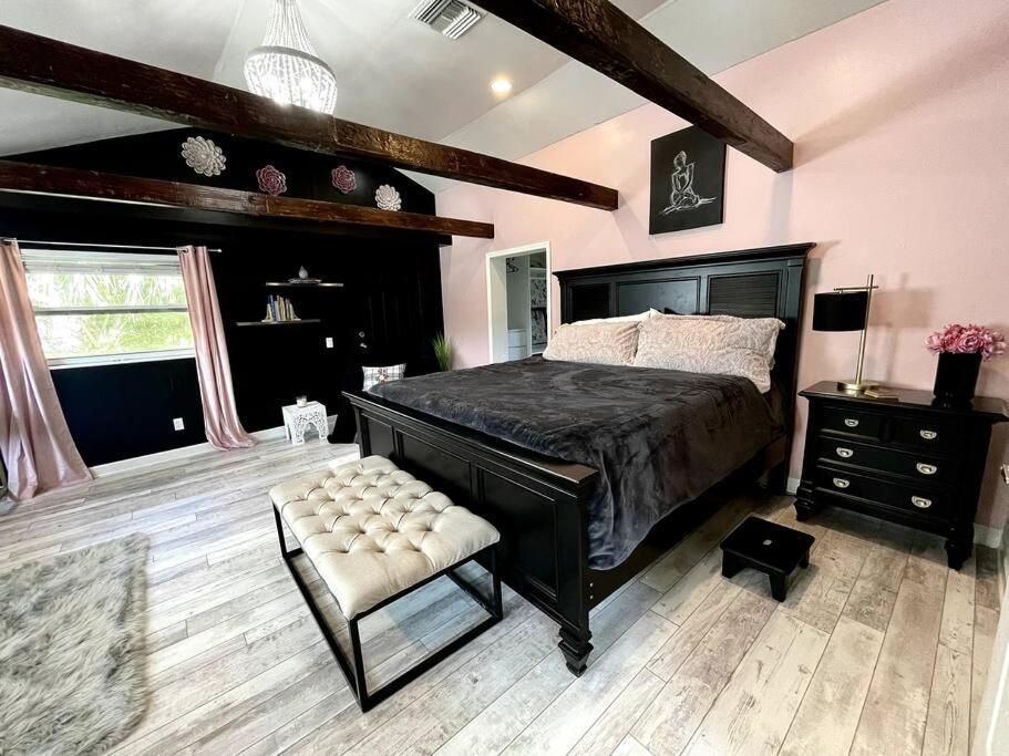 Cozy Sanctuary Minutes From The Bay And Beaches Tampa Extérieur photo
